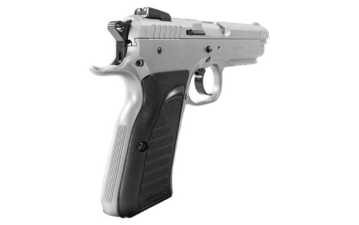 Tanfoglio Witness Full Size Handgun